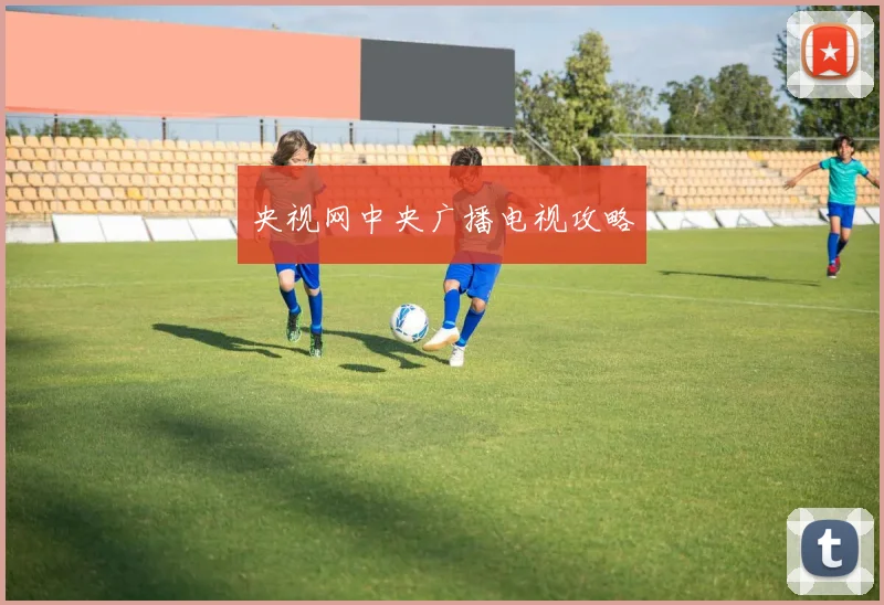 央视网中央广播电视攻略