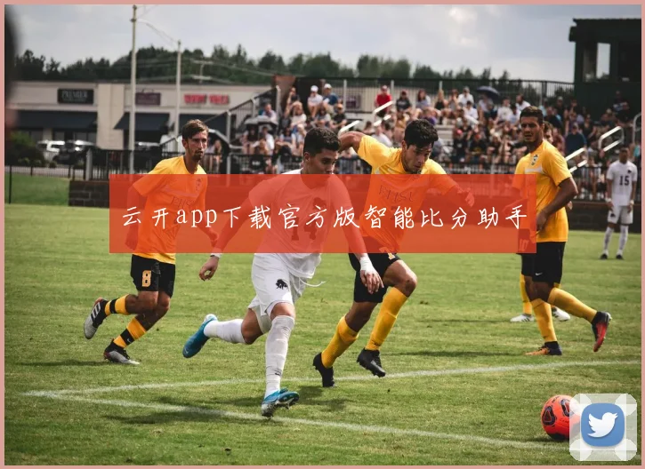 云开app下载官方版智能比分助手