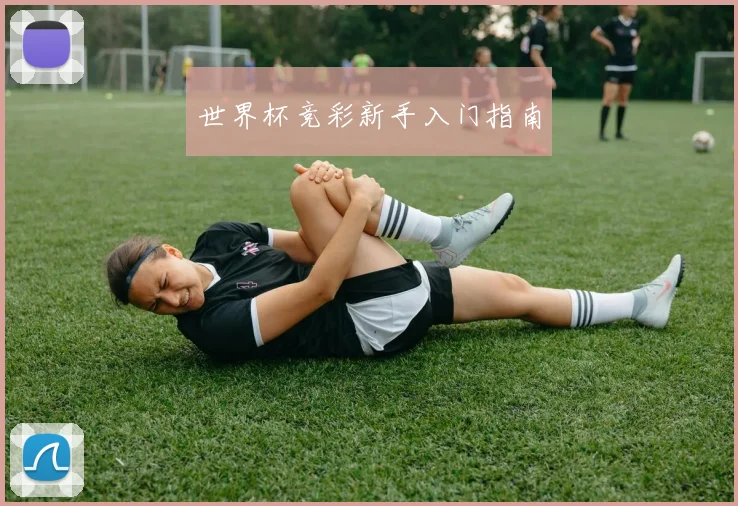 世界杯竞彩新手入门指南