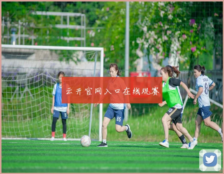 云开官网入口在线观赛