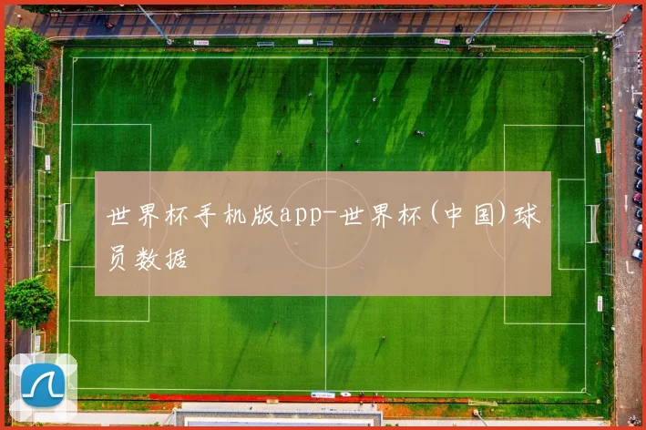 世界杯手机版app-世界杯(中国)球员数据