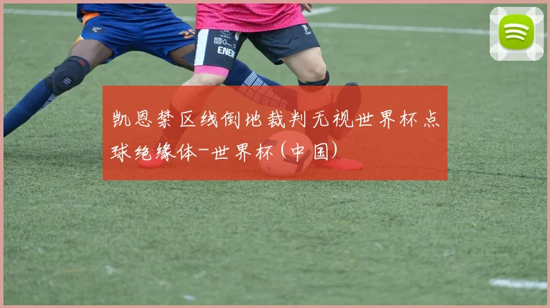 凯恩禁区线倒地裁判无视世界杯点球绝缘体-世界杯(中国)