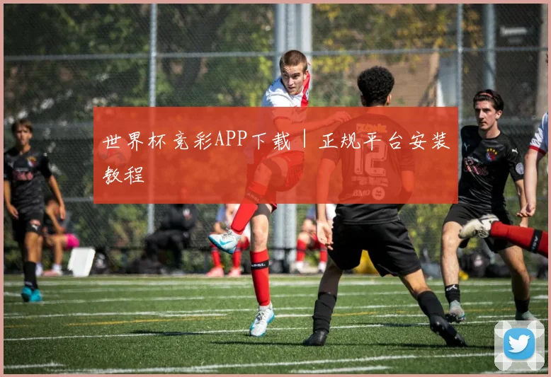 世界杯竞彩APP下载｜正规平台安装教程