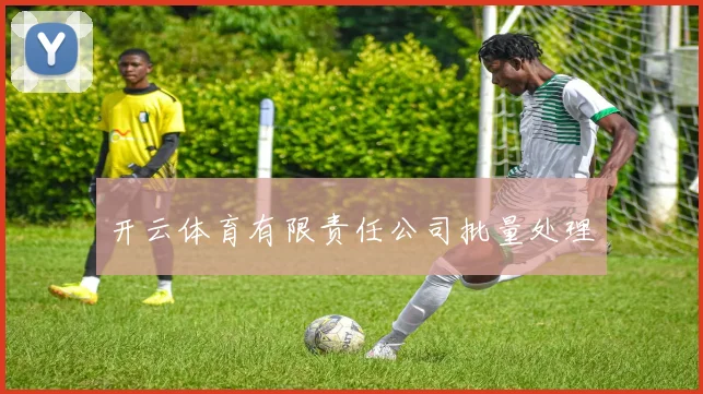 开云体育有限责任公司批量处理