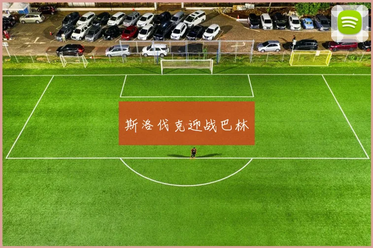 斯洛伐克迎战巴林