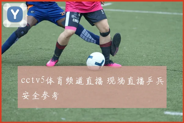 cctv5体育频道直播 现场直播乒兵安全参考