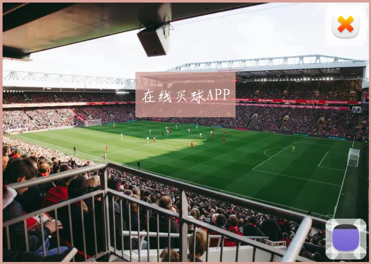 在线买球APP