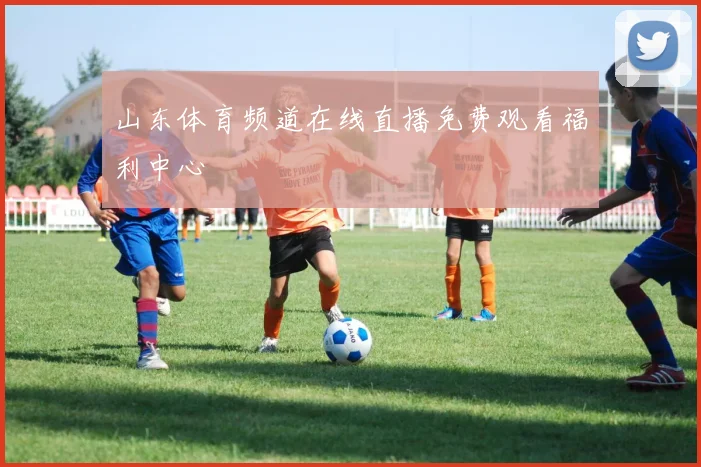 山东体育频道在线直播免费观看福利中心