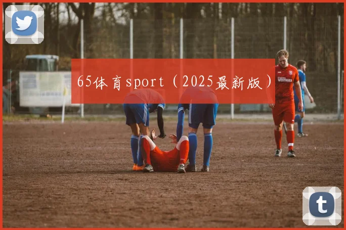65体育sport（2025最新版）
