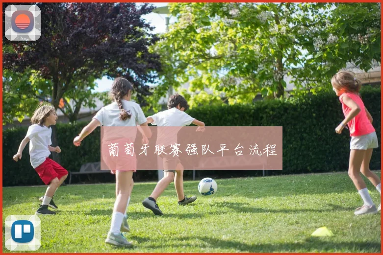 葡萄牙联赛强队平台流程