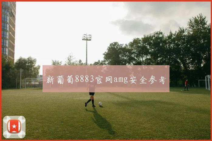新葡萄8883官网amg安全参考