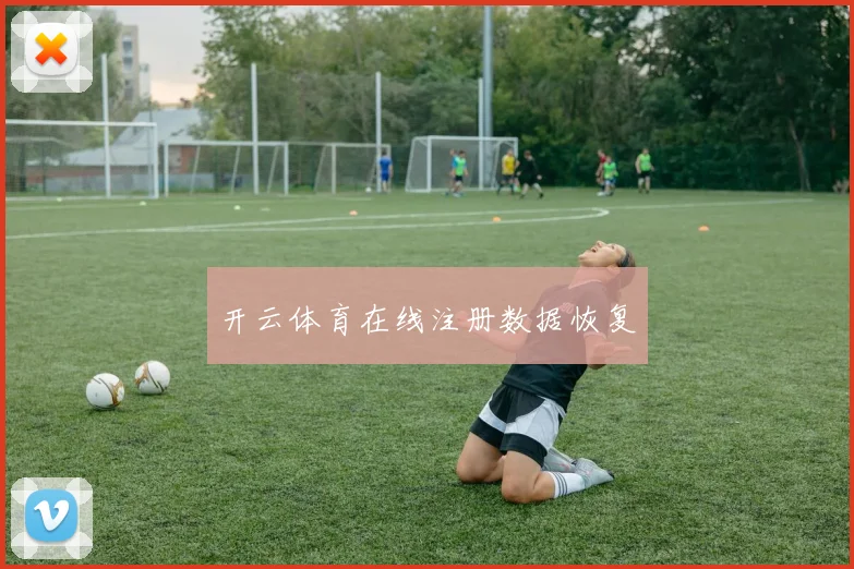 开云体育在线注册数据恢复
