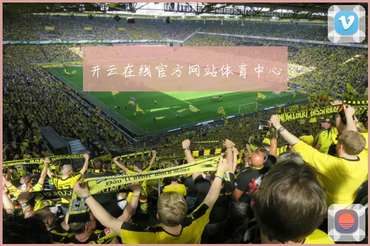 开云在线官方网站体育中心