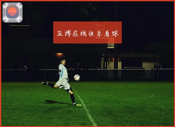亚搏在线快乐看球