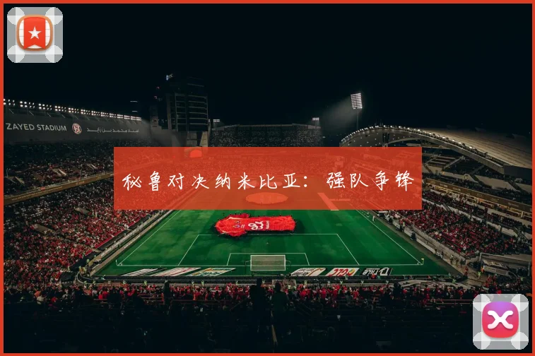 秘鲁对决纳米比亚：强队争锋