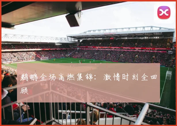 鹈鹕全场高燃集锦：激情时刻全回顾