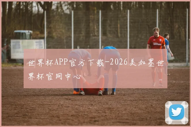 世界杯APP官方下载-2026美加墨世界杯官网中心
