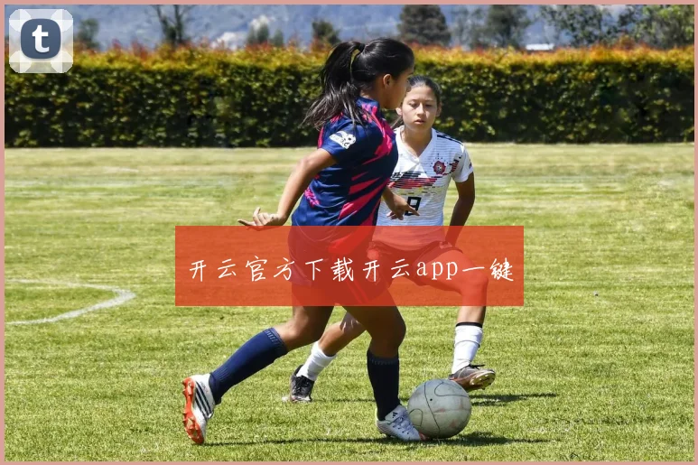 开云官方下载开云app一键