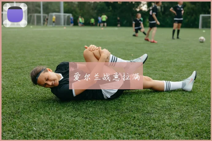 爱尔兰战意拉满