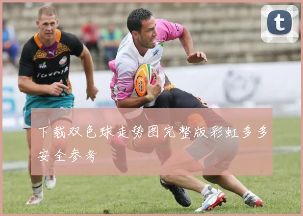 下载双色球走势图完整版彩虹多多安全参考