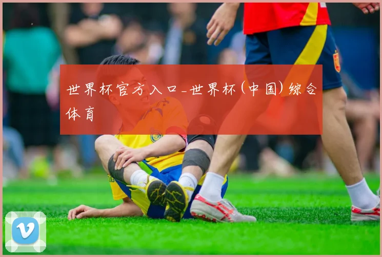 世界杯官方入口_世界杯(中国)综合体育