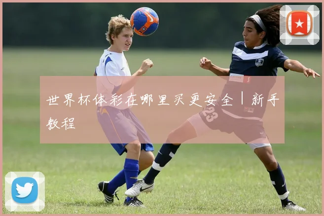 世界杯体彩在哪里买更安全｜新手教程