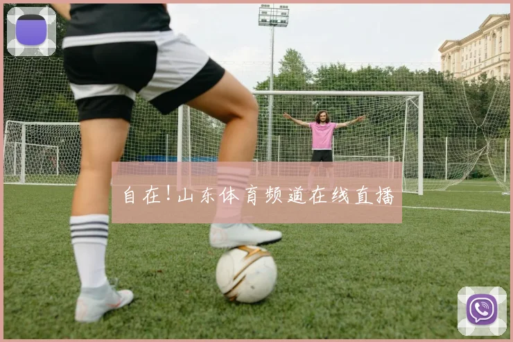 自在!山东体育频道在线直播