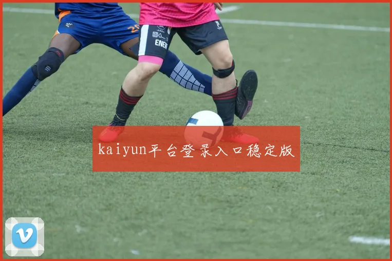 kaiyun平台登录入口稳定版