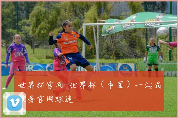 世界杯官网-世界杯（中国）一站式服务官网球迷
