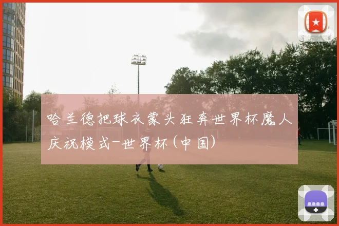 哈兰德把球衣蒙头狂奔世界杯魔人庆祝模式-世界杯(中国)