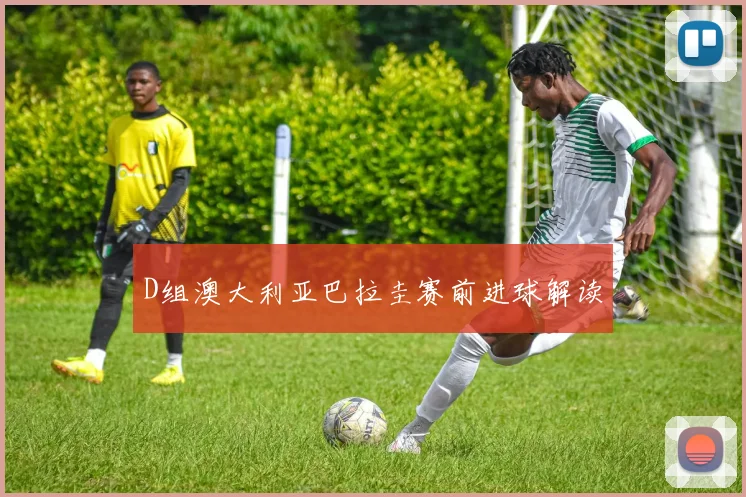 D组澳大利亚巴拉圭赛前进球解读