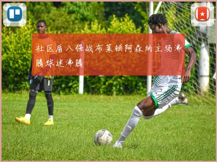 社区盾八强战布莱顿阿森纳主场沸腾球迷沸腾